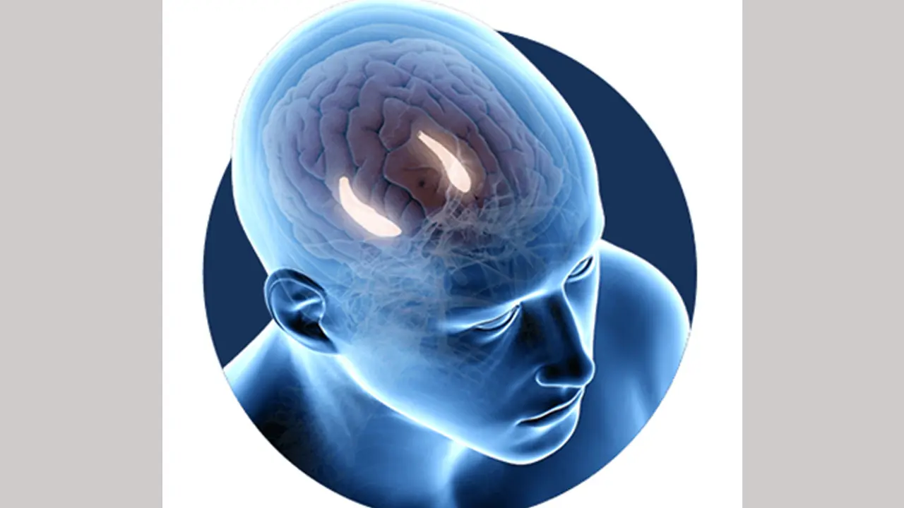 Billionaire Brain Wave